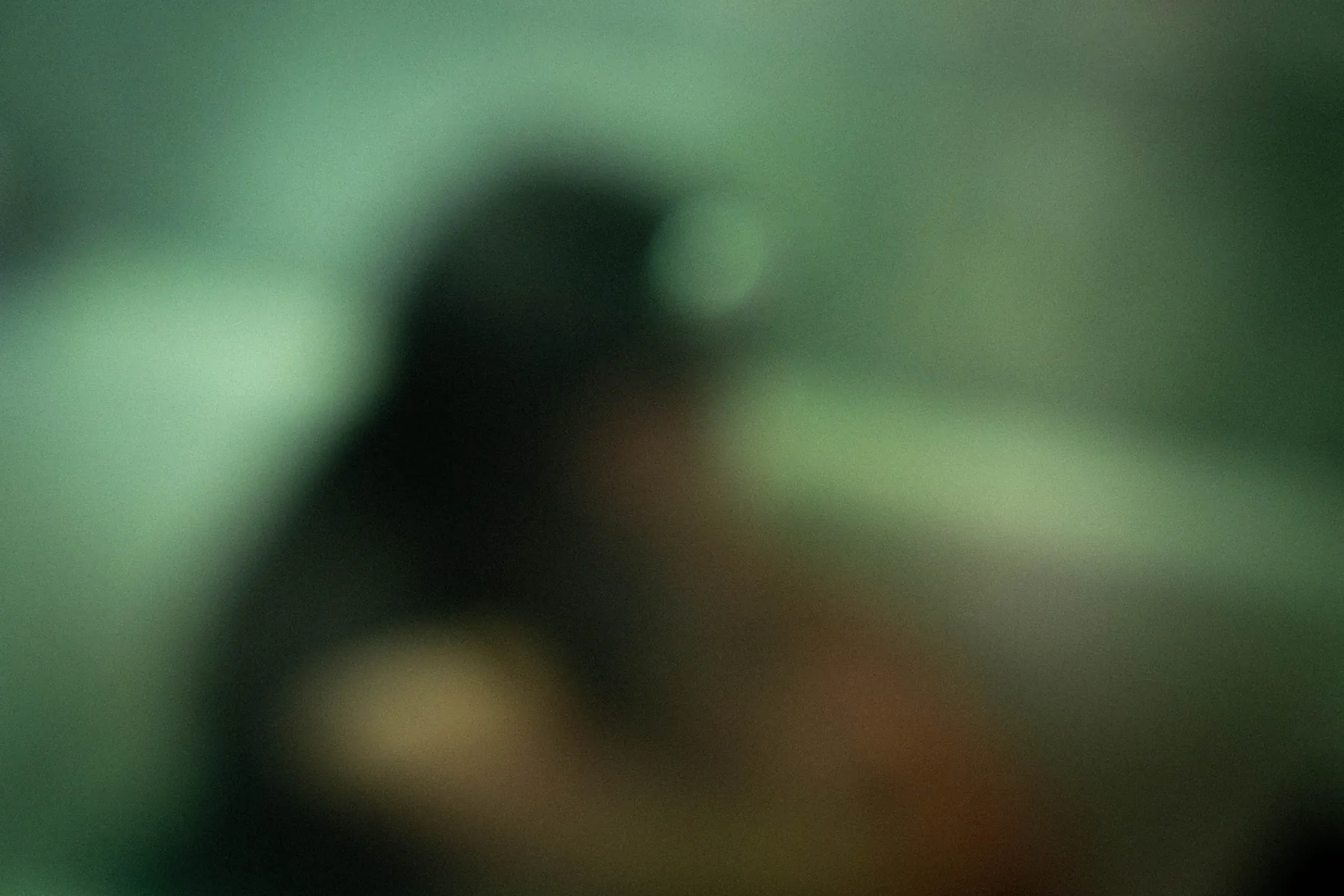 Pura Violencia shoot 3